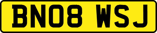 BN08WSJ