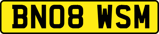 BN08WSM