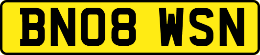 BN08WSN