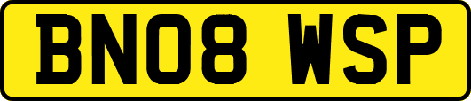 BN08WSP