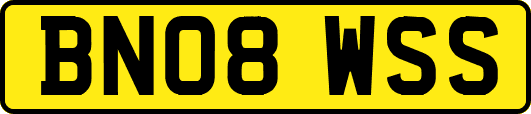 BN08WSS