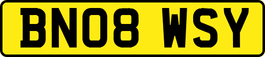 BN08WSY