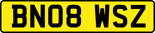 BN08WSZ