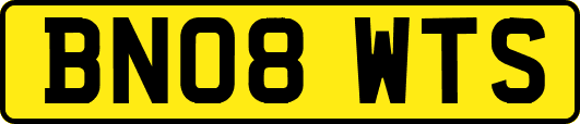 BN08WTS