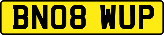 BN08WUP