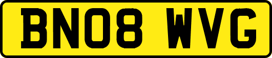 BN08WVG