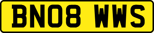 BN08WWS