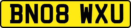 BN08WXU