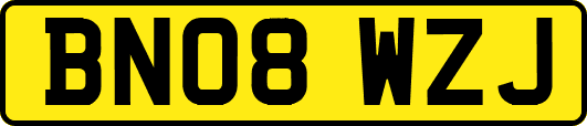 BN08WZJ