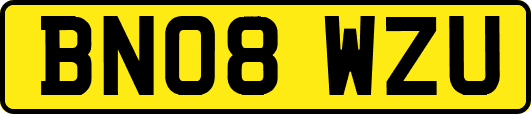 BN08WZU