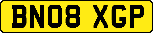 BN08XGP