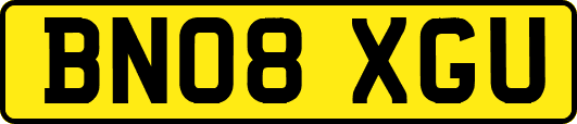BN08XGU