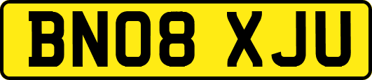 BN08XJU
