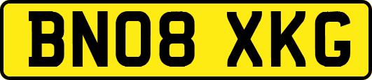 BN08XKG