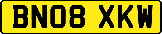 BN08XKW