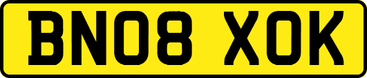 BN08XOK