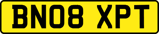 BN08XPT