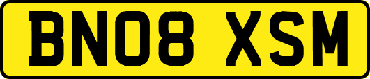 BN08XSM