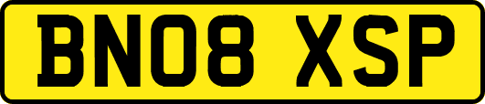 BN08XSP