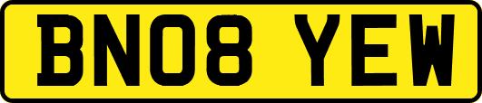 BN08YEW
