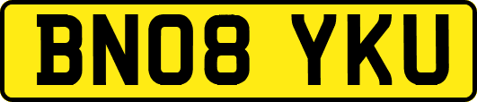 BN08YKU