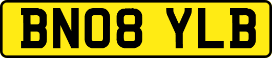 BN08YLB