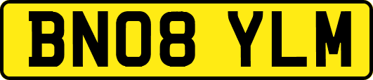 BN08YLM