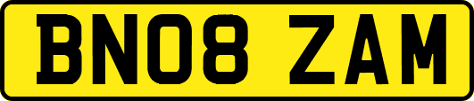 BN08ZAM