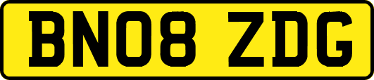 BN08ZDG