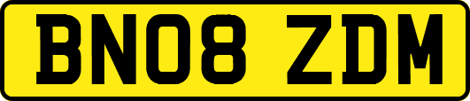 BN08ZDM