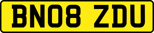 BN08ZDU