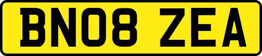 BN08ZEA
