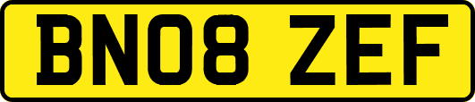 BN08ZEF