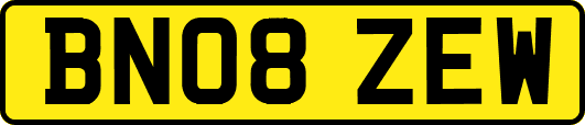 BN08ZEW