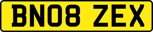 BN08ZEX