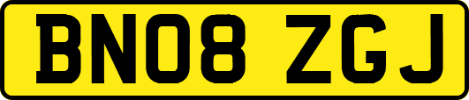 BN08ZGJ