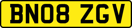BN08ZGV