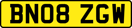 BN08ZGW