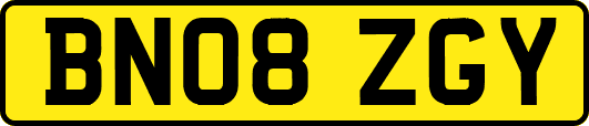 BN08ZGY