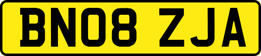 BN08ZJA