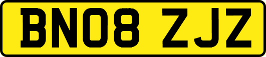 BN08ZJZ
