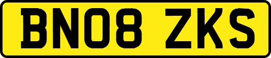 BN08ZKS