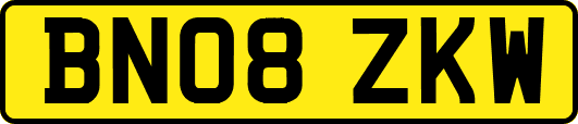 BN08ZKW