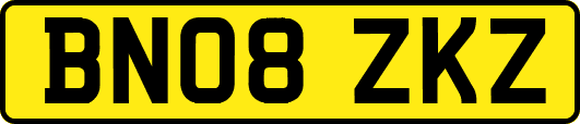 BN08ZKZ