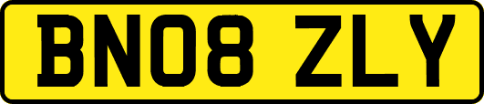 BN08ZLY