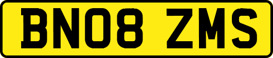 BN08ZMS