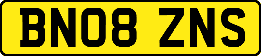 BN08ZNS