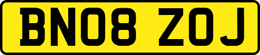 BN08ZOJ