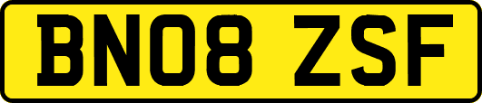 BN08ZSF