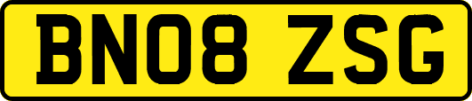 BN08ZSG